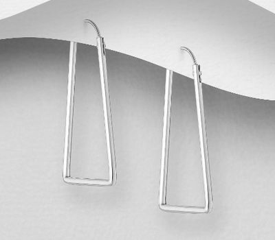 925 Sterling Silver Hook Earrings