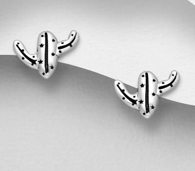 925 Sterling Silver Oxidized Cactus Push-Back Earrings