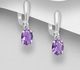 La Preciada - 925 Sterling Silver Omega Lock Earrings, Decorated with Various Gemstones