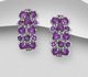 La Preciada - 925 Sterling Silver Omega Lock Earrings, Decorated with Gemstones