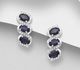 La Preciada - 925 Sterling Silver Omega Lock Earrings, Decorated with CZ Simulated Diamonds and Blue Sapphire